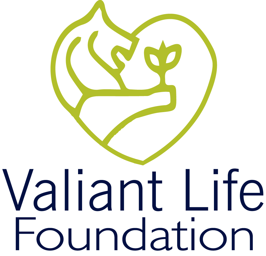 Valiant Life Foundation